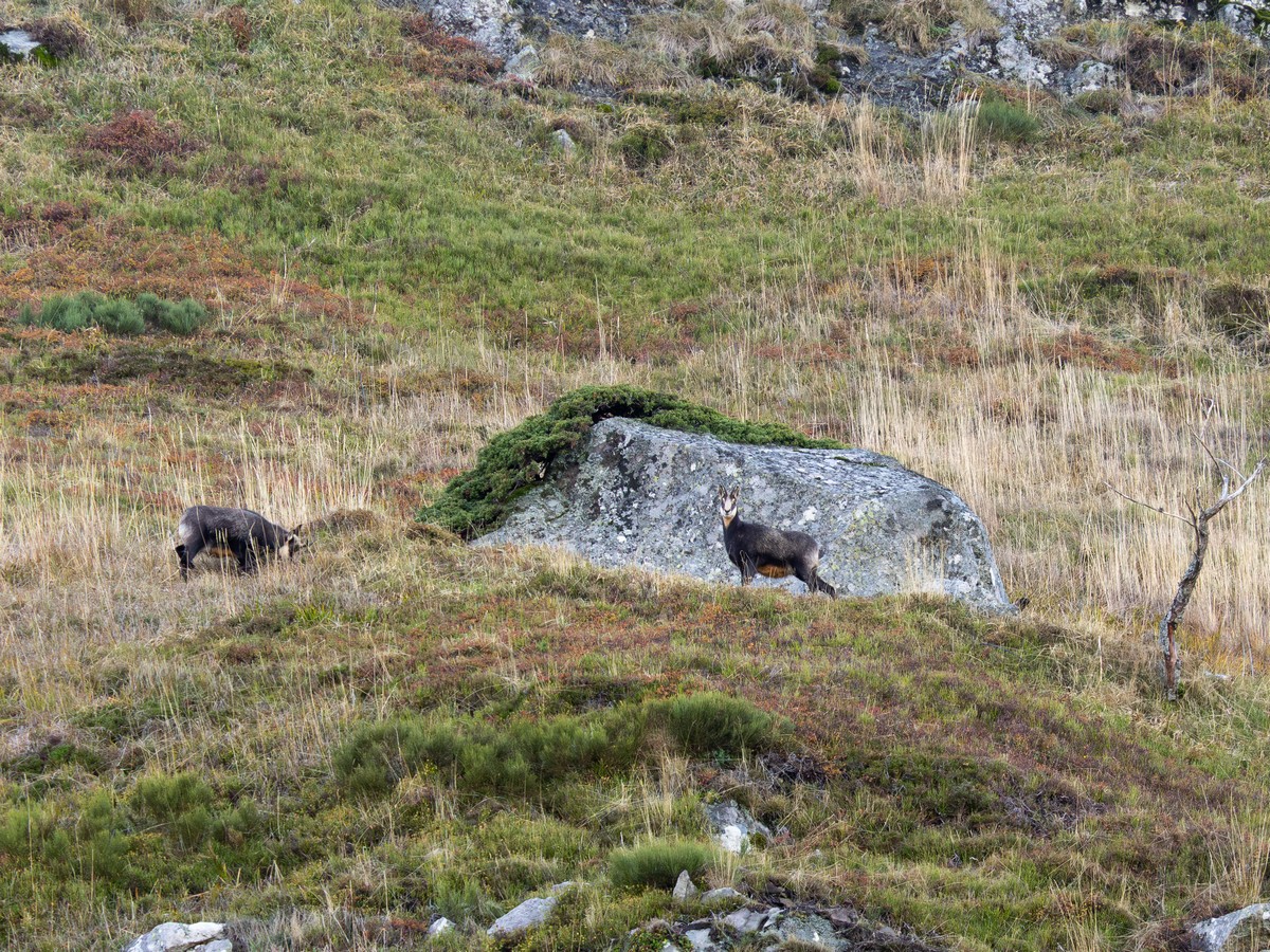 30102025-30 10 25 (4).jpg